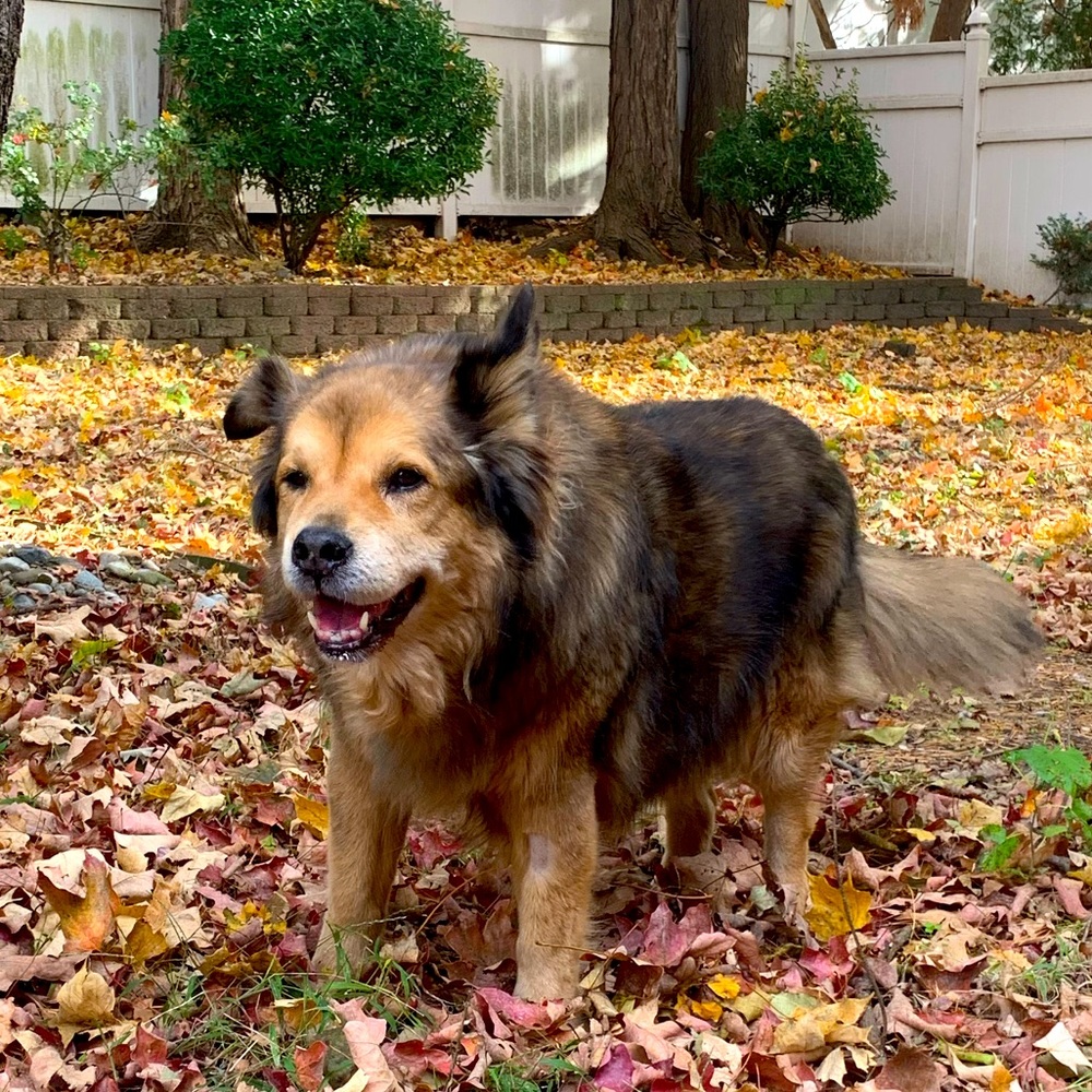 Meet your Posher, Carmen
